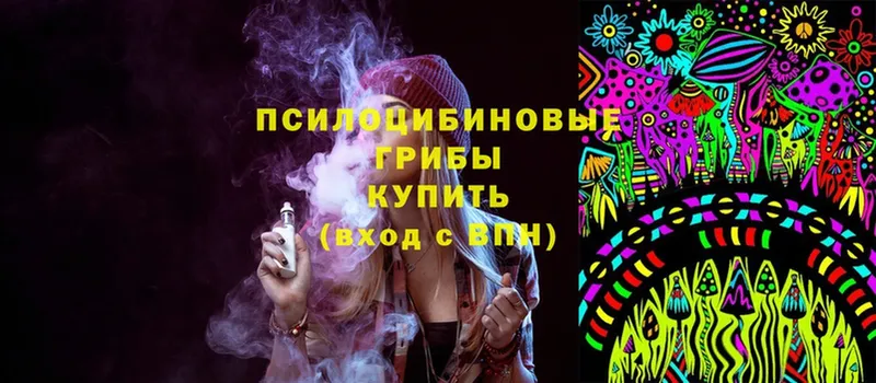 Псилоцибиновые грибы MAGIC MUSHROOMS  hydra зеркало  мориарти формула  Коряжма 