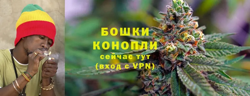 Шишки марихуана SATIVA & INDICA  Коряжма 